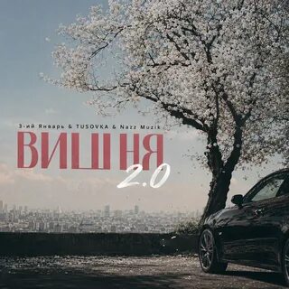 3-ий Январь - Вишня 2.0 (TUSOVKA & Nazz Muzik Remix) картинка, фото, обложка 